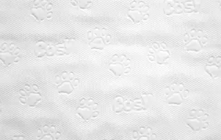 Cosy Produktion 8